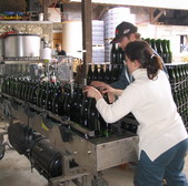 bouteilles vides - champagne - bottling works